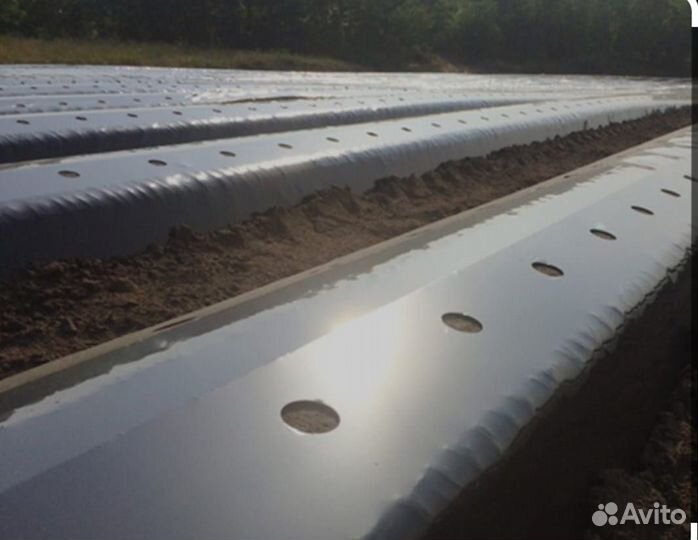 Услуги пленкоукладчика, грядообразователя клубники