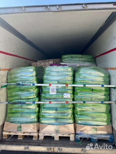 Корм для кошек