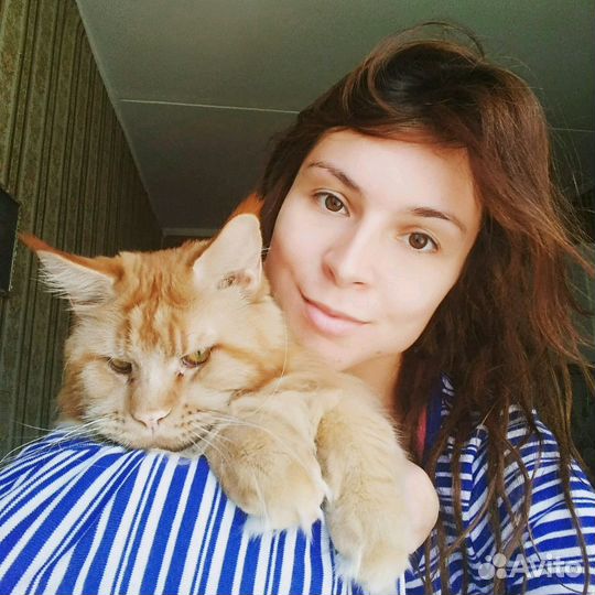 Стрижка собак и кошек. (+Выгул собак+зооняня)