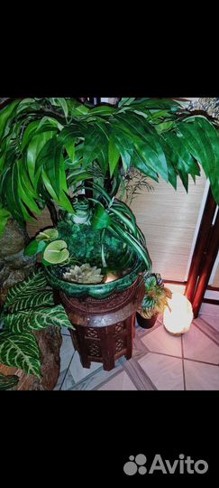 Спа процедуры, массаж тела и лица