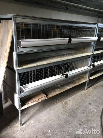 Клетка (брудер)