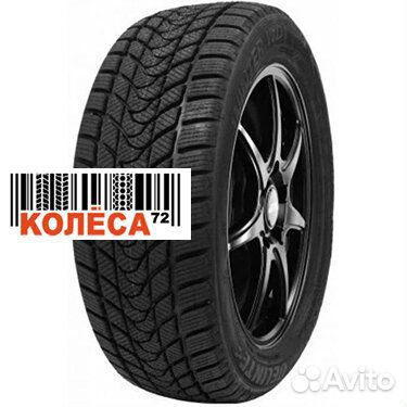 Delinte Winter WD1 205/55 R16