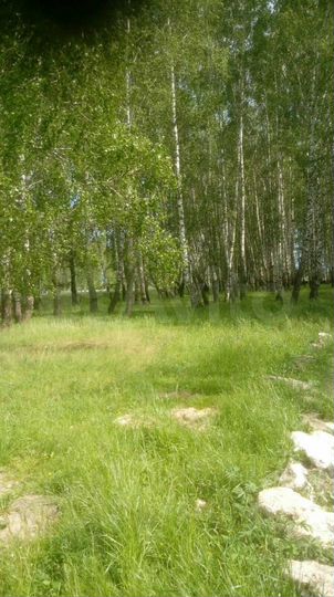 Участок 15 сот. (ИЖС)