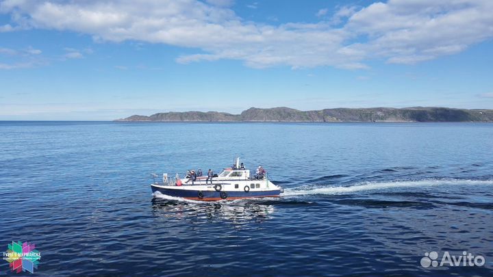 Смотреть Китов в Териберке