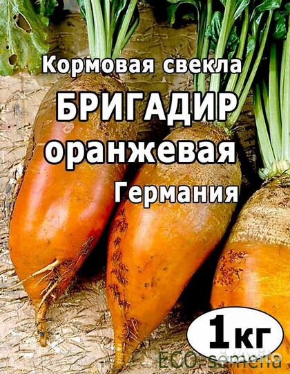 Семена многолетних трав и свеклы