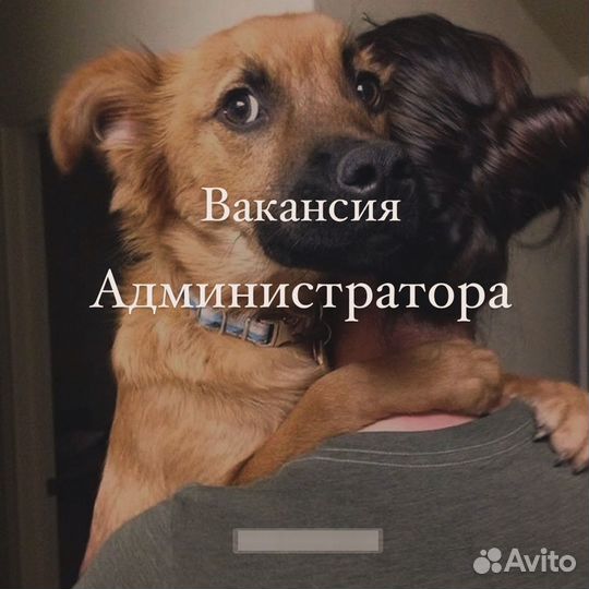 Администратор в зоосалон