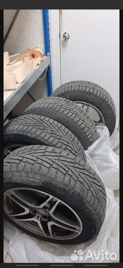 Nexen Winguard 255/45 R18 100