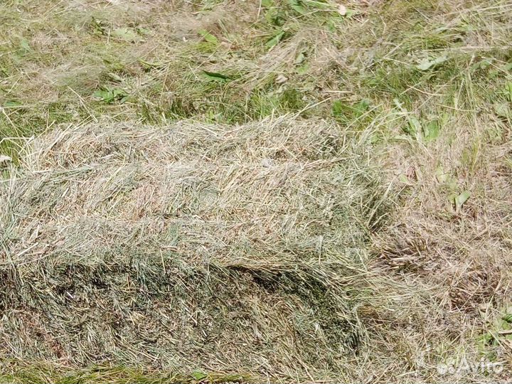 Сено луговое в тюках