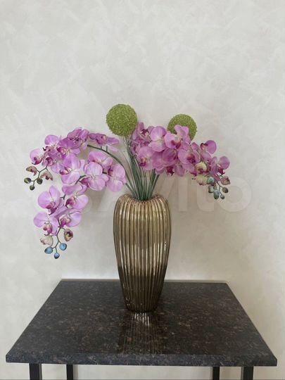 Дом 423 м² на участке 6 сот.