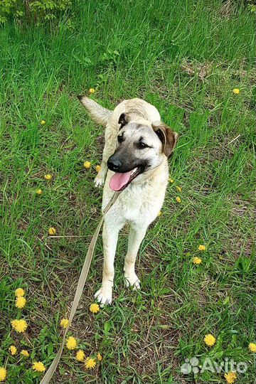 Гермиона мечтает о семье