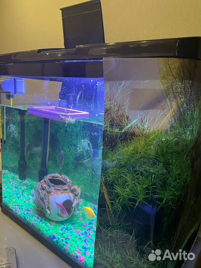 Аквариум