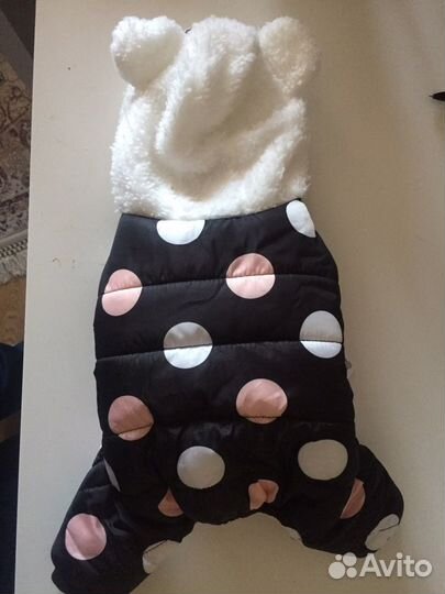 Зимний комбинезон для собаки