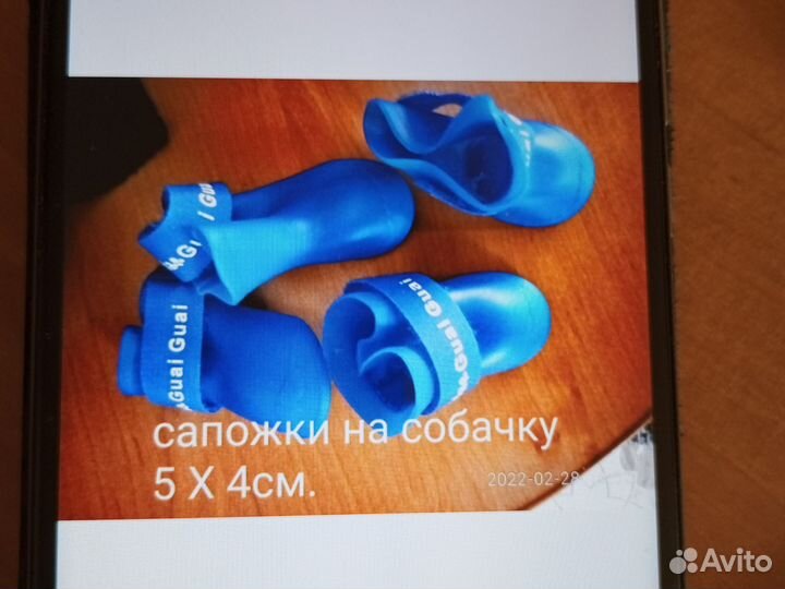 Одежда для маленьких пород собак Йорик до 3 кг