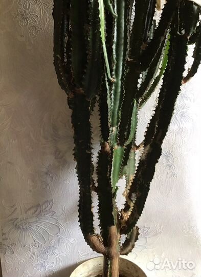 Цветок (высота 195 см)