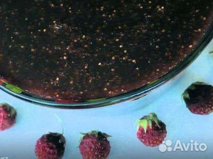 Варенье из полевой клубники