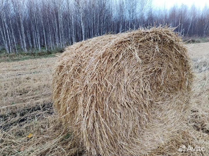 Солома в рулонах