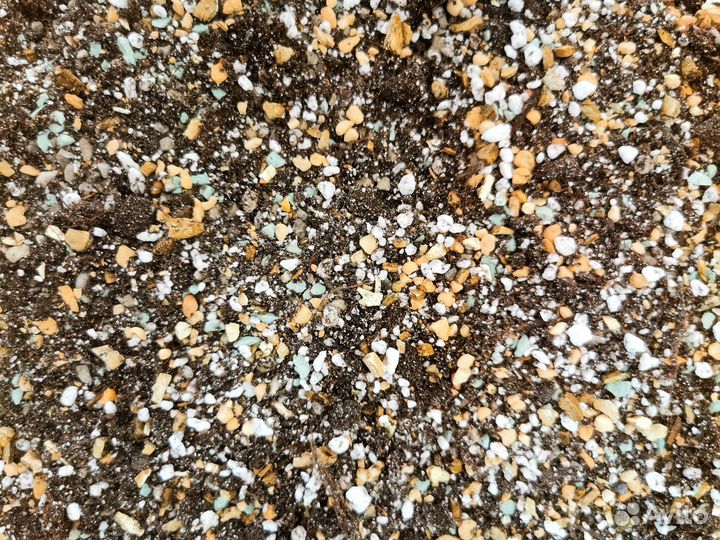 Грунт для суккулентов 2л