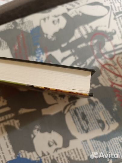 Павел Санаев Хроники раздолбая