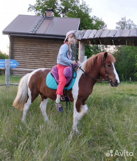 Катание на лошадках