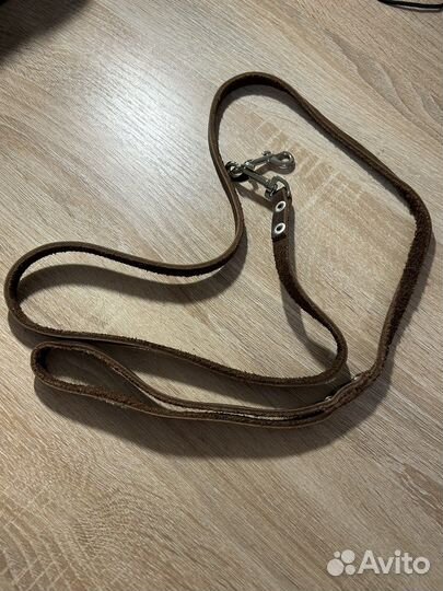 Ошейник и поводок для щенка