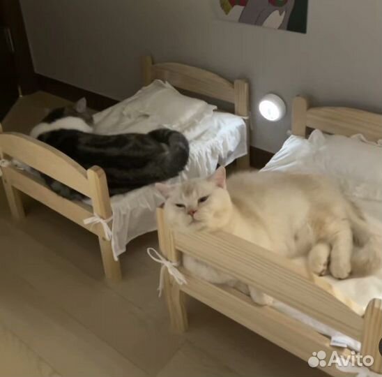 Кровать для домашних питомцев