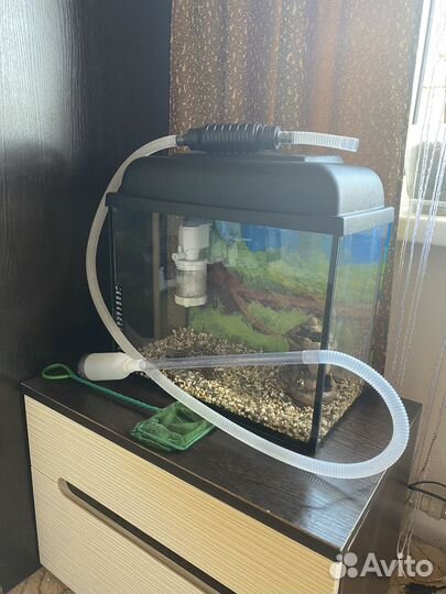 Аквариум