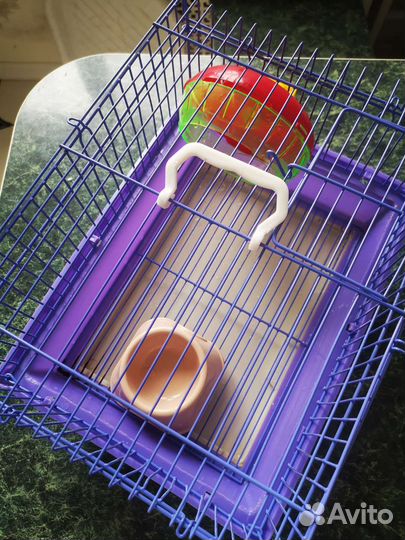 Клетка для джунгарского хомяка