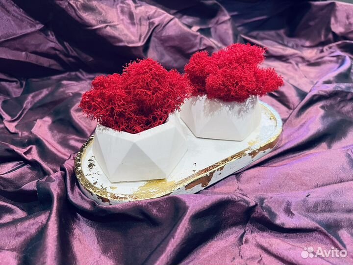 Кашпо со мхом, кашпо