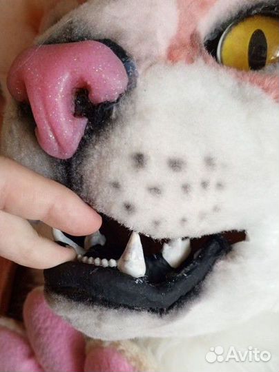 Фурсьют партиал кошка чит.опис