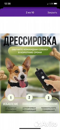 Ошейник для собак