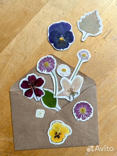 Ботанические наклейки (набор 11 штук)