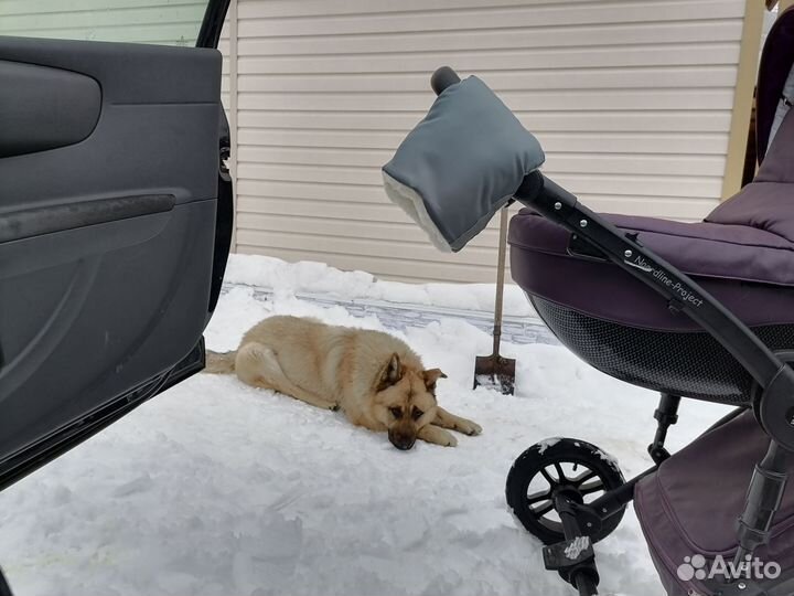 Коляска noordline 3 в 1