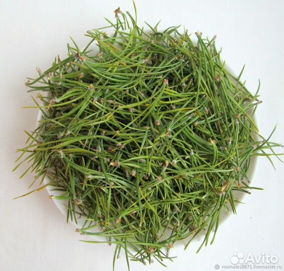 Лекарственные травы ручной сбор