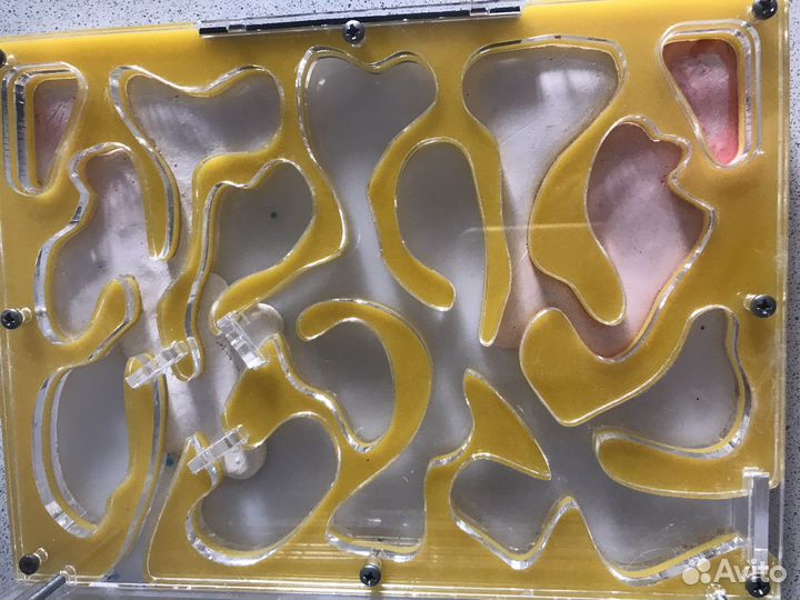 Муравьиная ферма бу