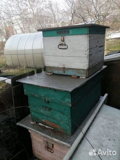 Ульи для пчел