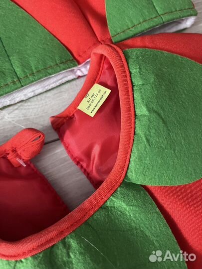 Костюм клубнички,ягодки