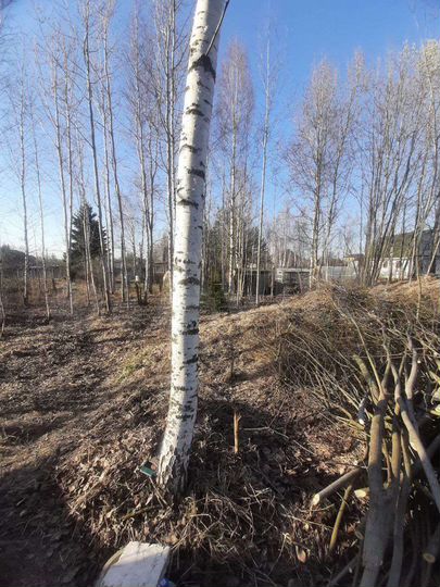 Участок 18 сот. (ИЖС)