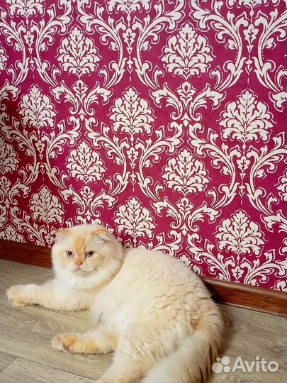 Ищем подружку