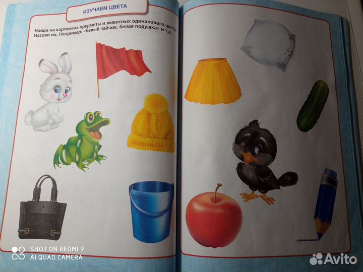 Годовой курс занятий 2-3 года Жуковой