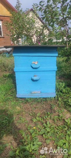 Ульи для пчел