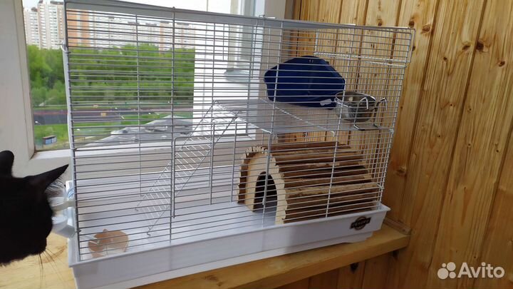 Клетки и мелочи для грызунов