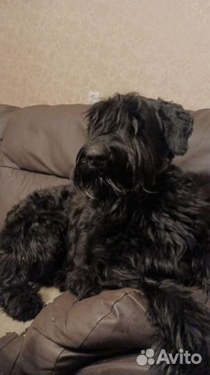 Мальчик ищет девочку