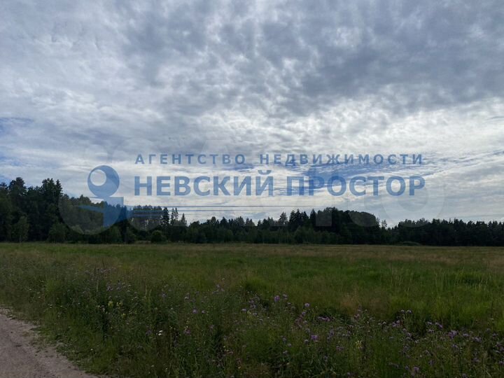 Участок 3,5 га (СНТ, ДНП)