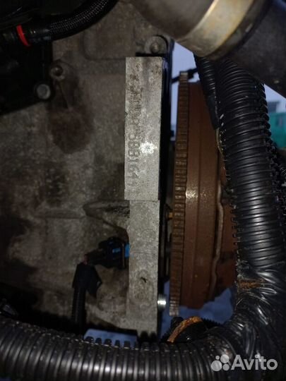 Двигатель hwda Ford Focus 2 0.0 0