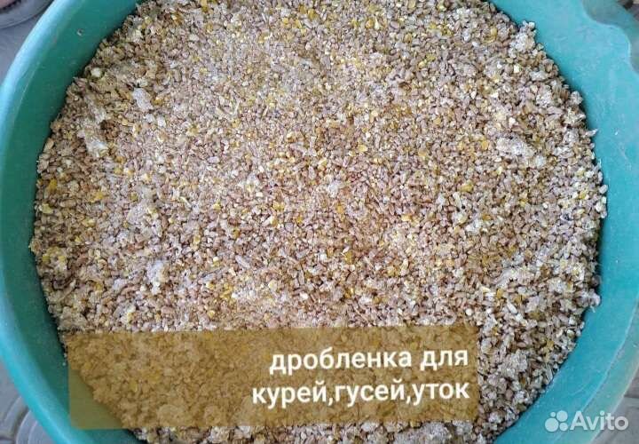 Корм для домашних животных