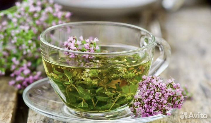 Чабрец низкорослый