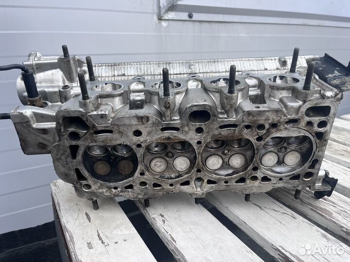 Гбц акцент 16кл