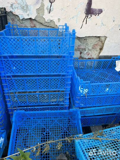 Ящики грибные