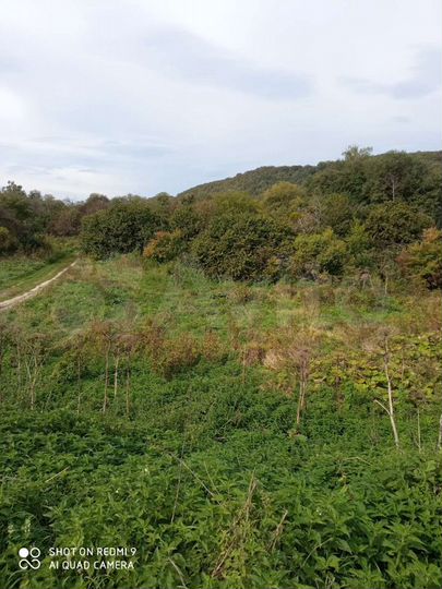 Участок 40 сот. (ИЖС)