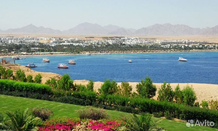 Вип-тур в г. Шарм-Эль-Шейх от 6 дней